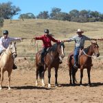Horsemanship clinics 