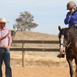 6 day intensive training clinics 